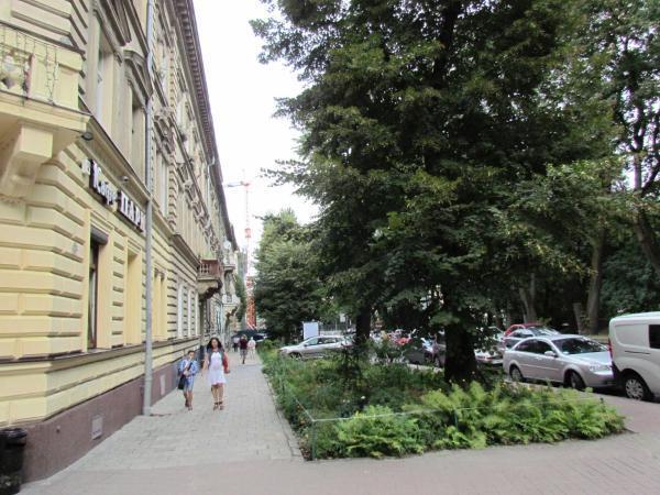 Апартаменты Двухкомнатные Для 6Х Около Парка В Центре Leopoli Esterno foto